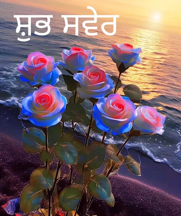 aesthetic good morning images in punjabi