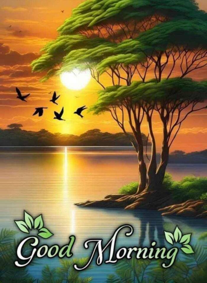 aethetics beautiful nature good morning images full hd