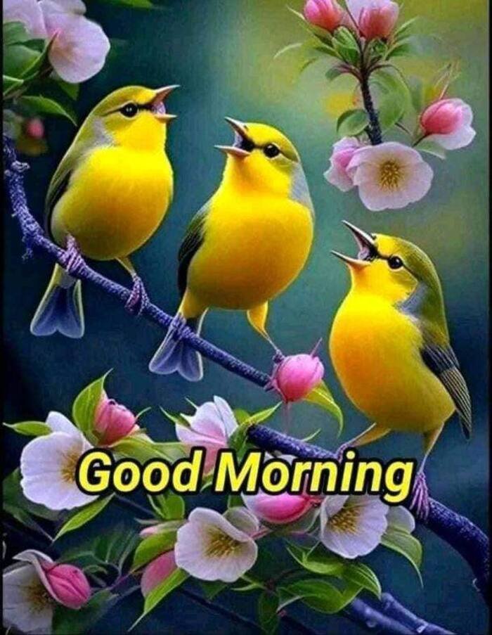 aethetics beautiful nature good morning images hd