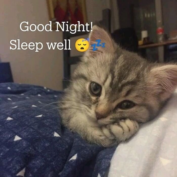 aethetics funny good night image