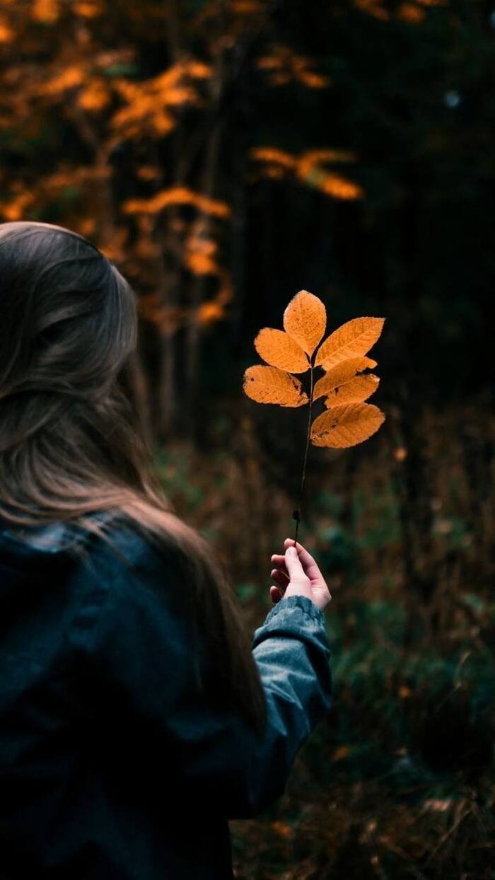 aethetics sad mood hd