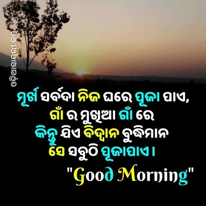 amazing good morning image in odia