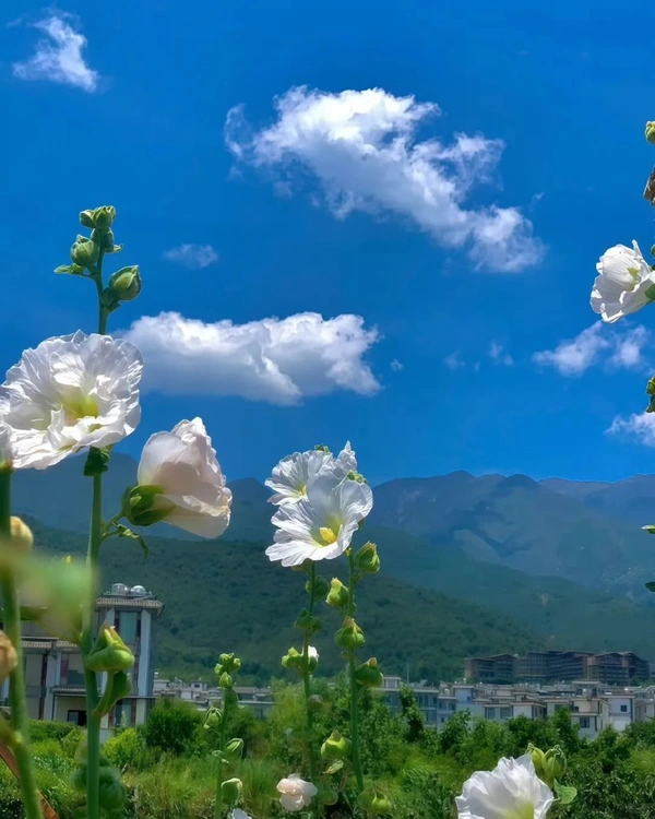 beautiful dp for whatsapp with quotes