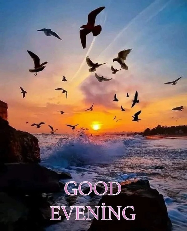 beautiful good evening images for friends
