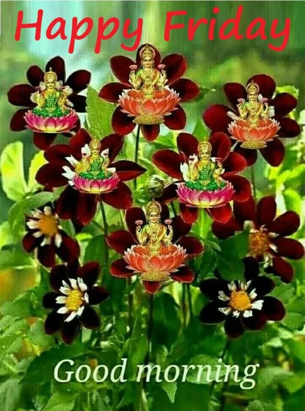 beautiful good morning friday god images