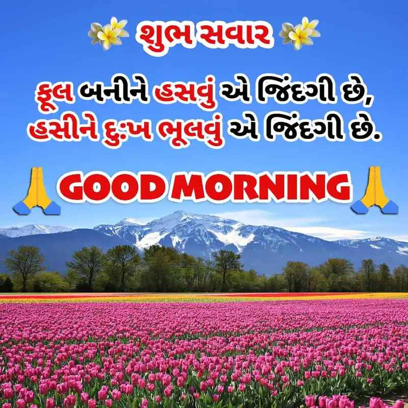 beautiful good morning gujarati image