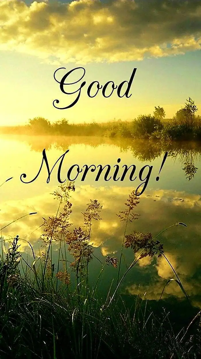 beautiful nature good morning images close up face
