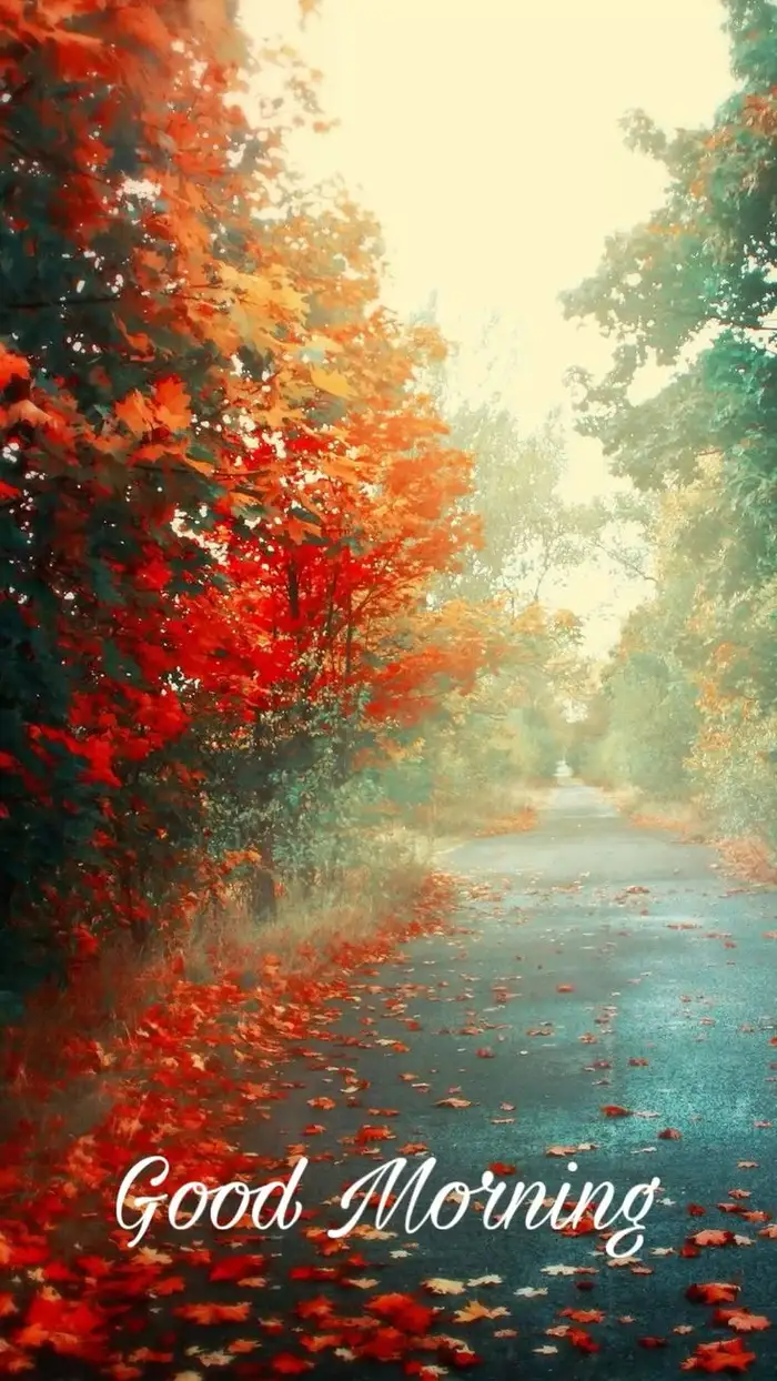 beautiful nature good morning images dp with quotes