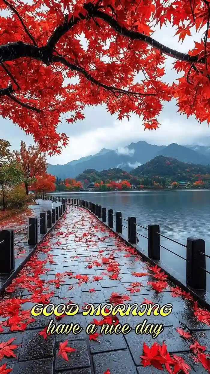 beautiful nature good morning images for boys and girls