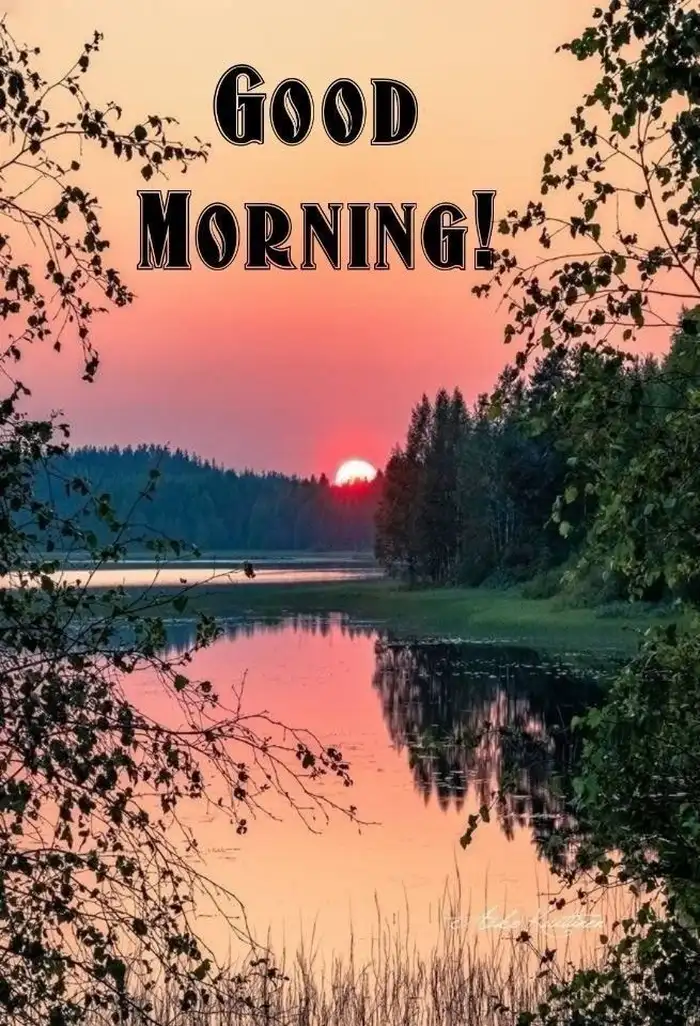 beautiful nature good morning images profile icon