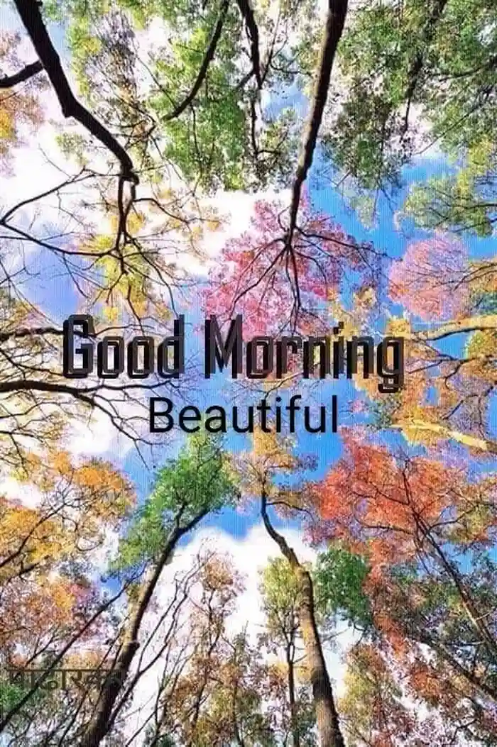 beautiful nature good morning images stylish appearance
