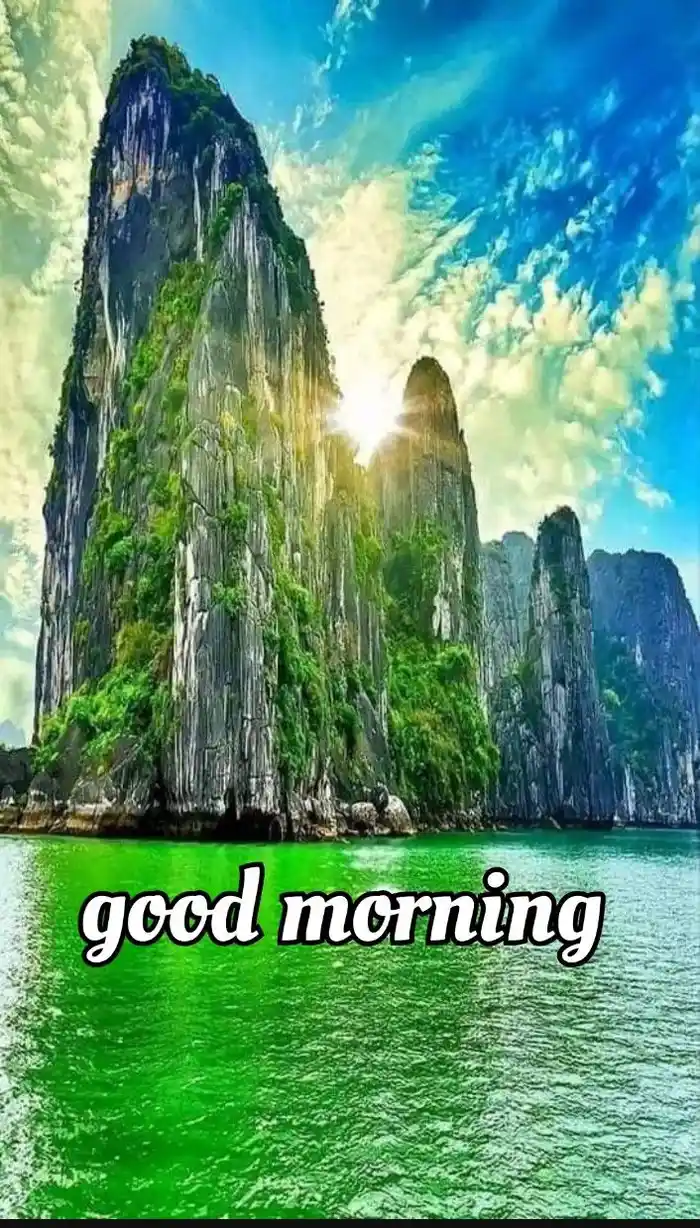 beautiful nature good morning s dp for whatsapp