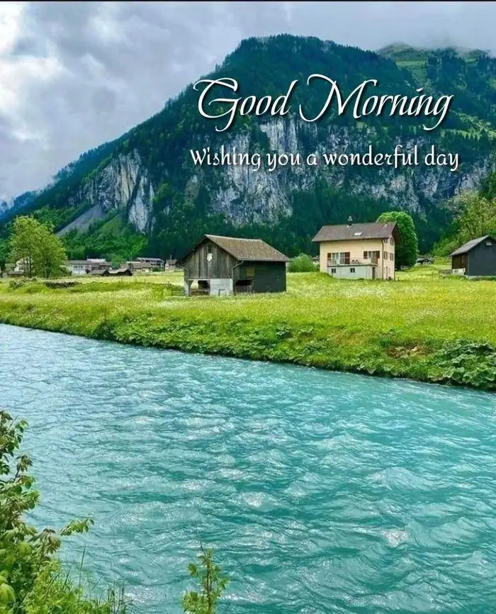 beautiful nature good morning s dp in rain background