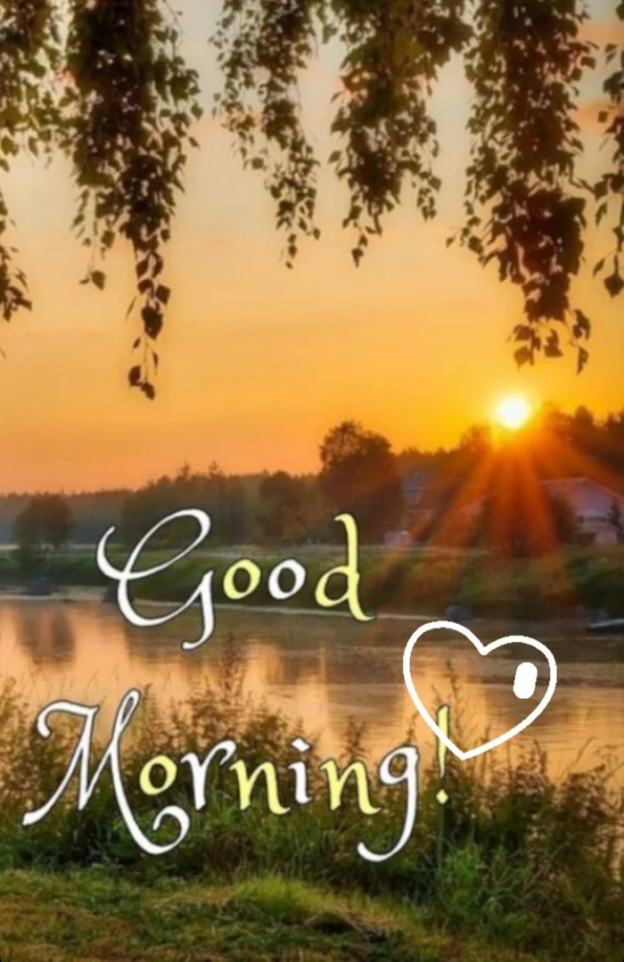 beautiful nature good morning s dp in vintage tone