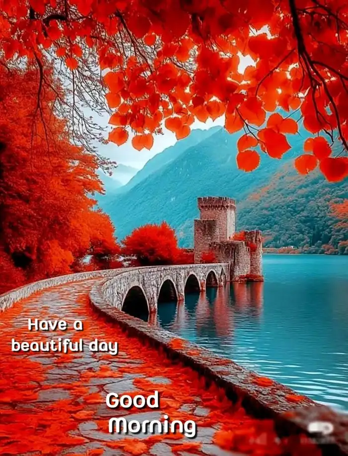 beautiful nature good morning s dp in white outfit
