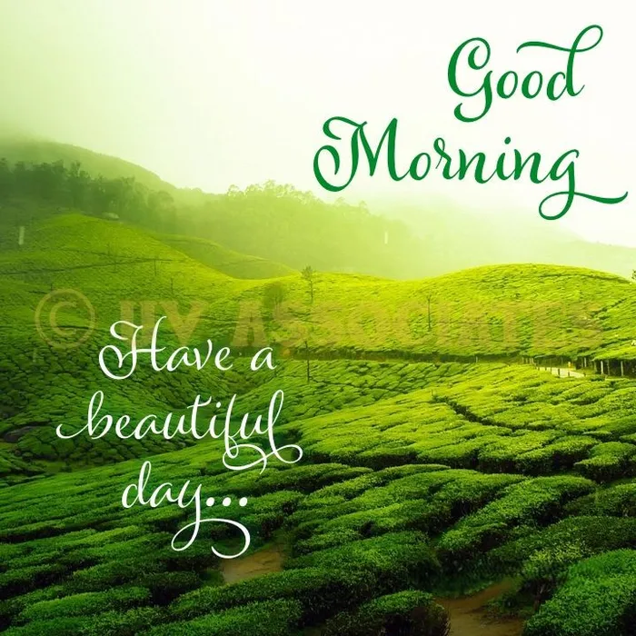 beautiful nature good morning s with attitude look