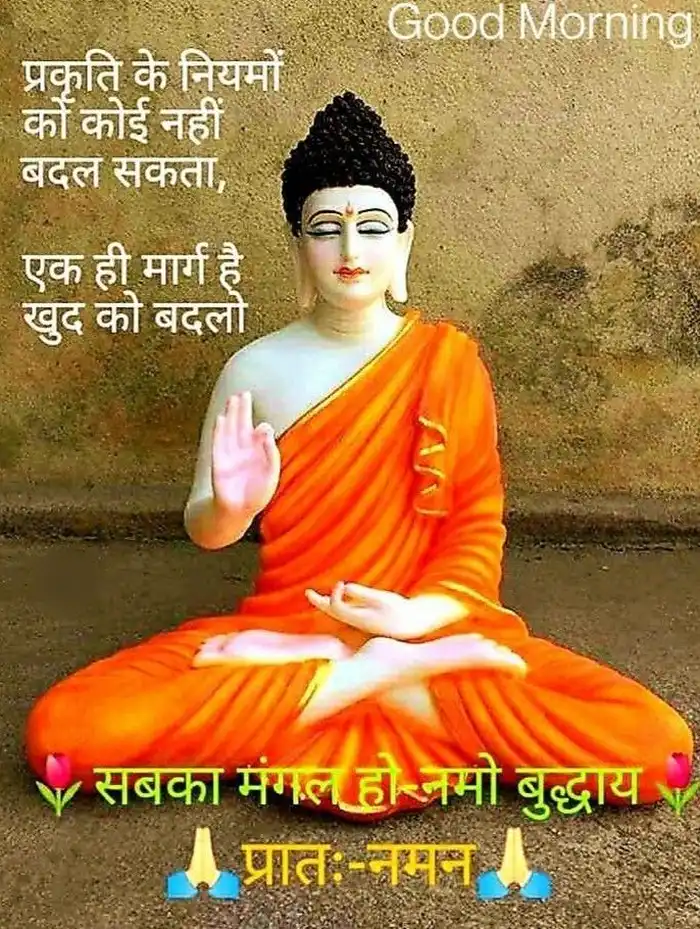 buddha good morning s with attitude look