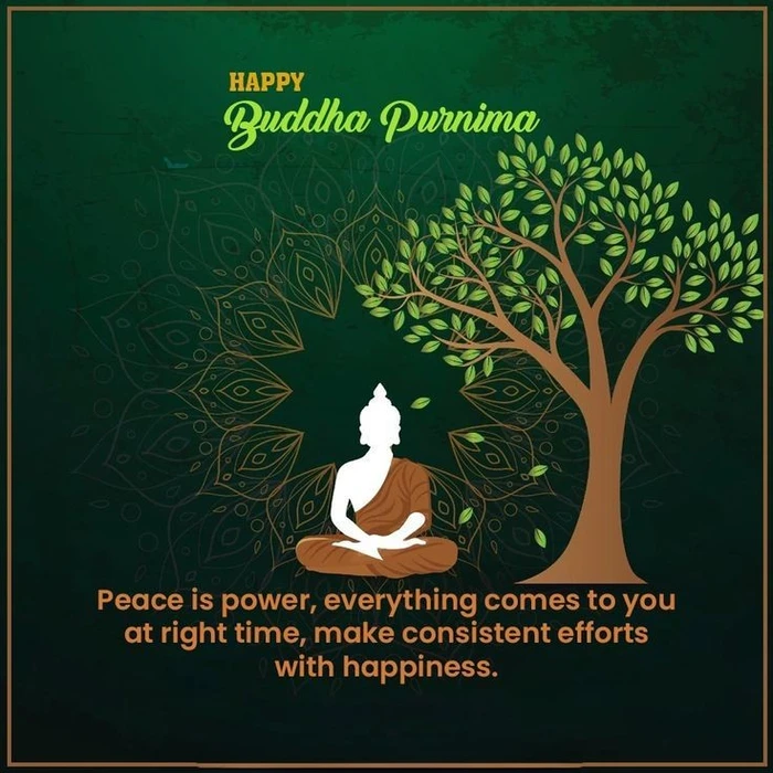 buddha purnima wishes s cartoon style dp