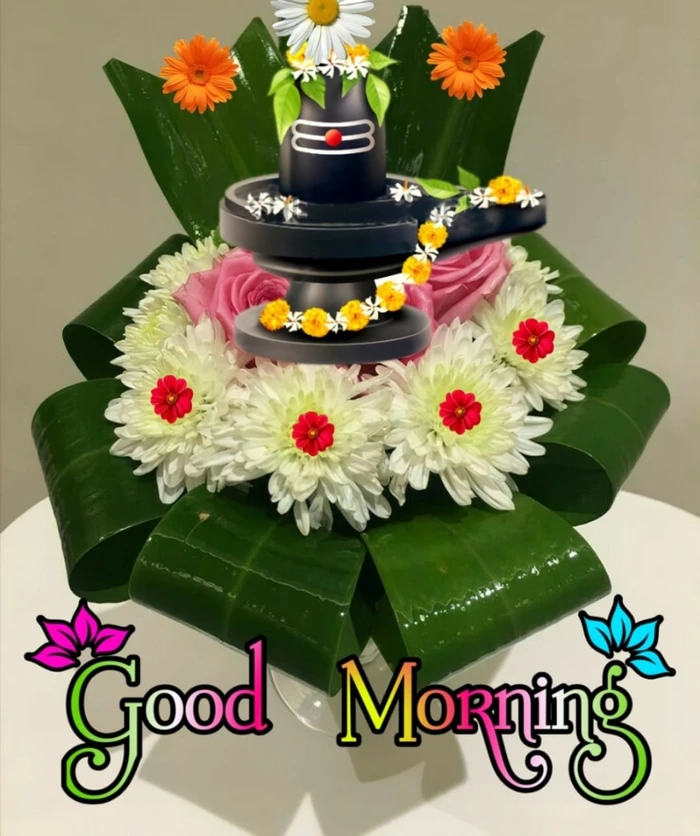 collection hd wallpapers somwar good morning free download