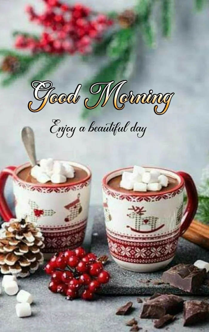 collection of hd wallpapers christmas good morning free