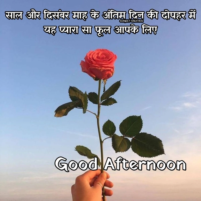 cool good afternoon images in hindi