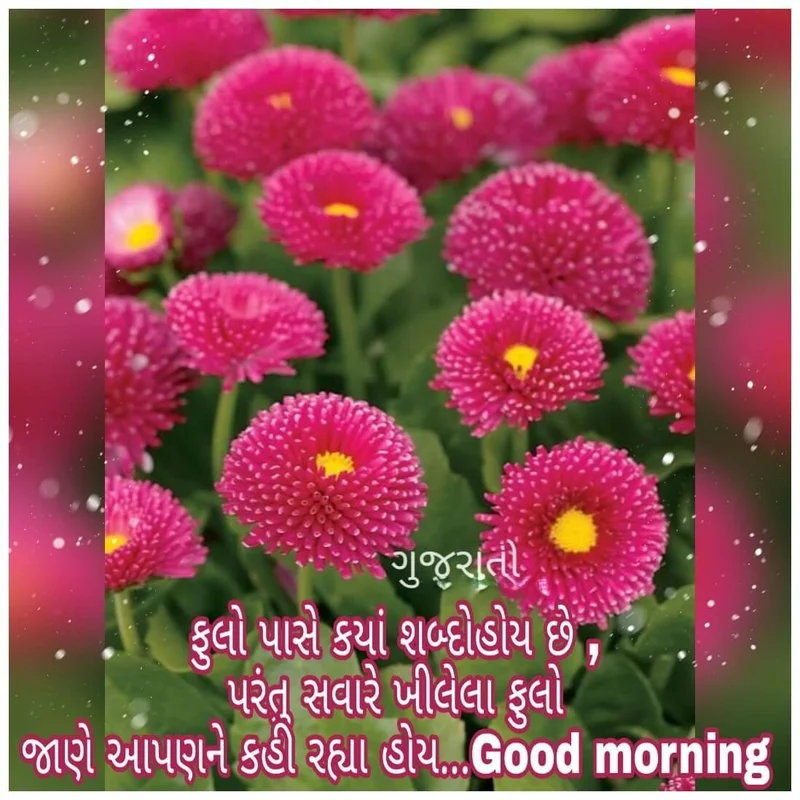 cool good morning gujarati image