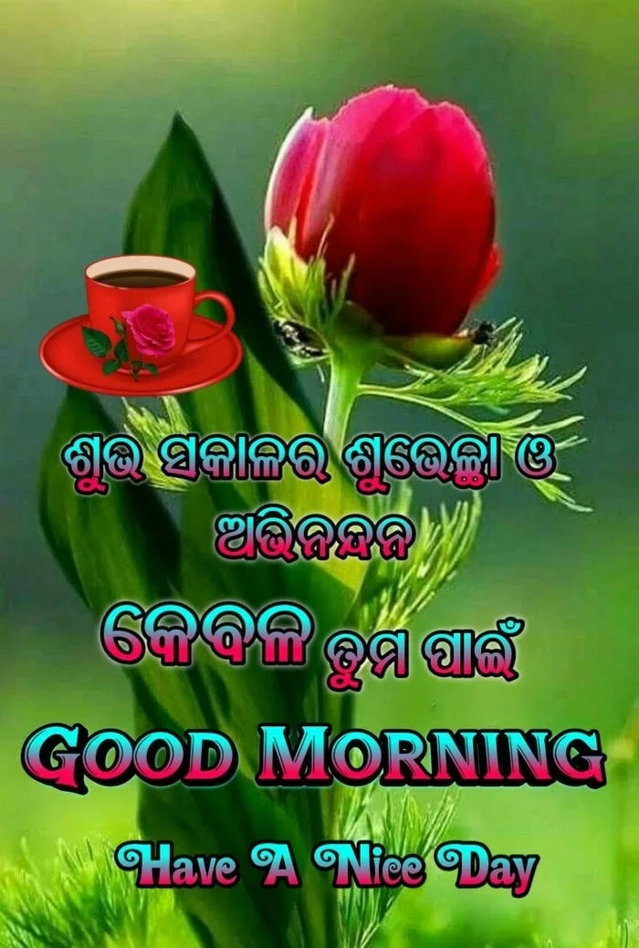 cool good morning image in odia