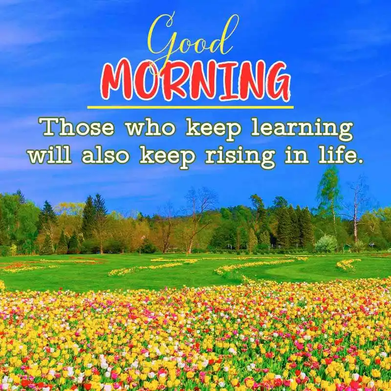 cool good morning images