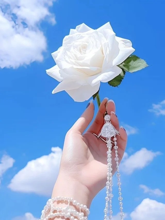 62+ DP Pic New Ideas to Refresh and Brighten Your Profile