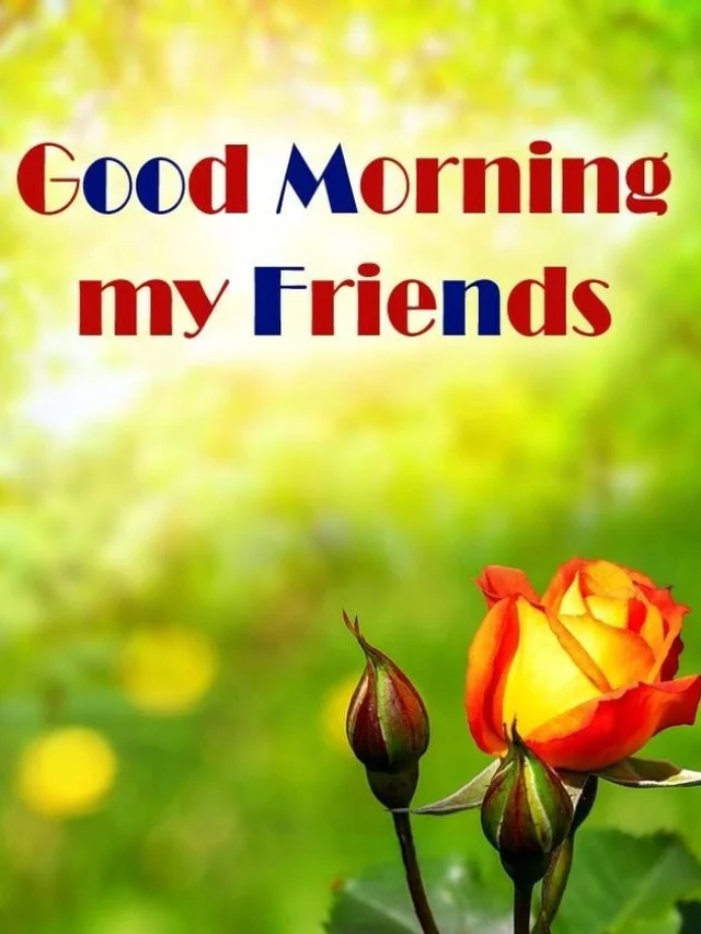 62+ Friend Good Morning Images to Brighten Every Day