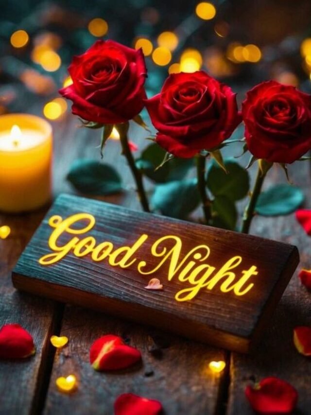 65+ Beautiful Good Night Rose Image for Sweet Dreams