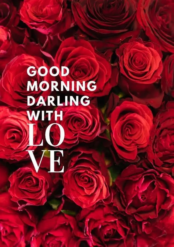 cute darling wallpapers hd good morning photo collection