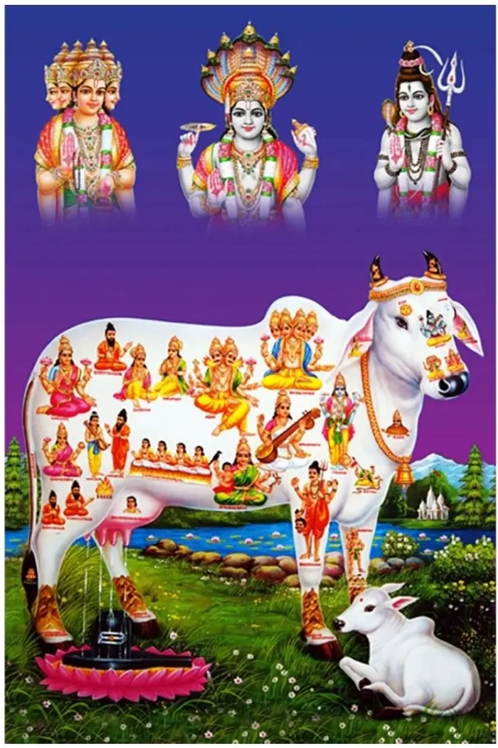 divine hd wallpaper gallery featuring sacred cow god images