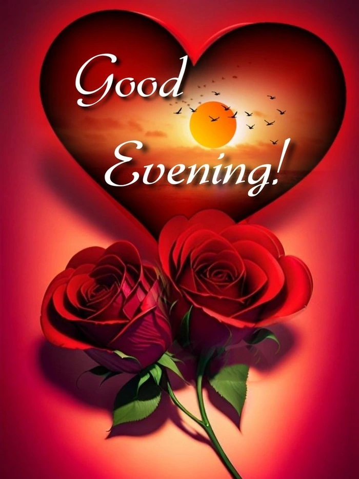 download good evening rose hd wallpapers free gallery