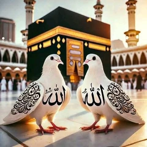dp islamic 1