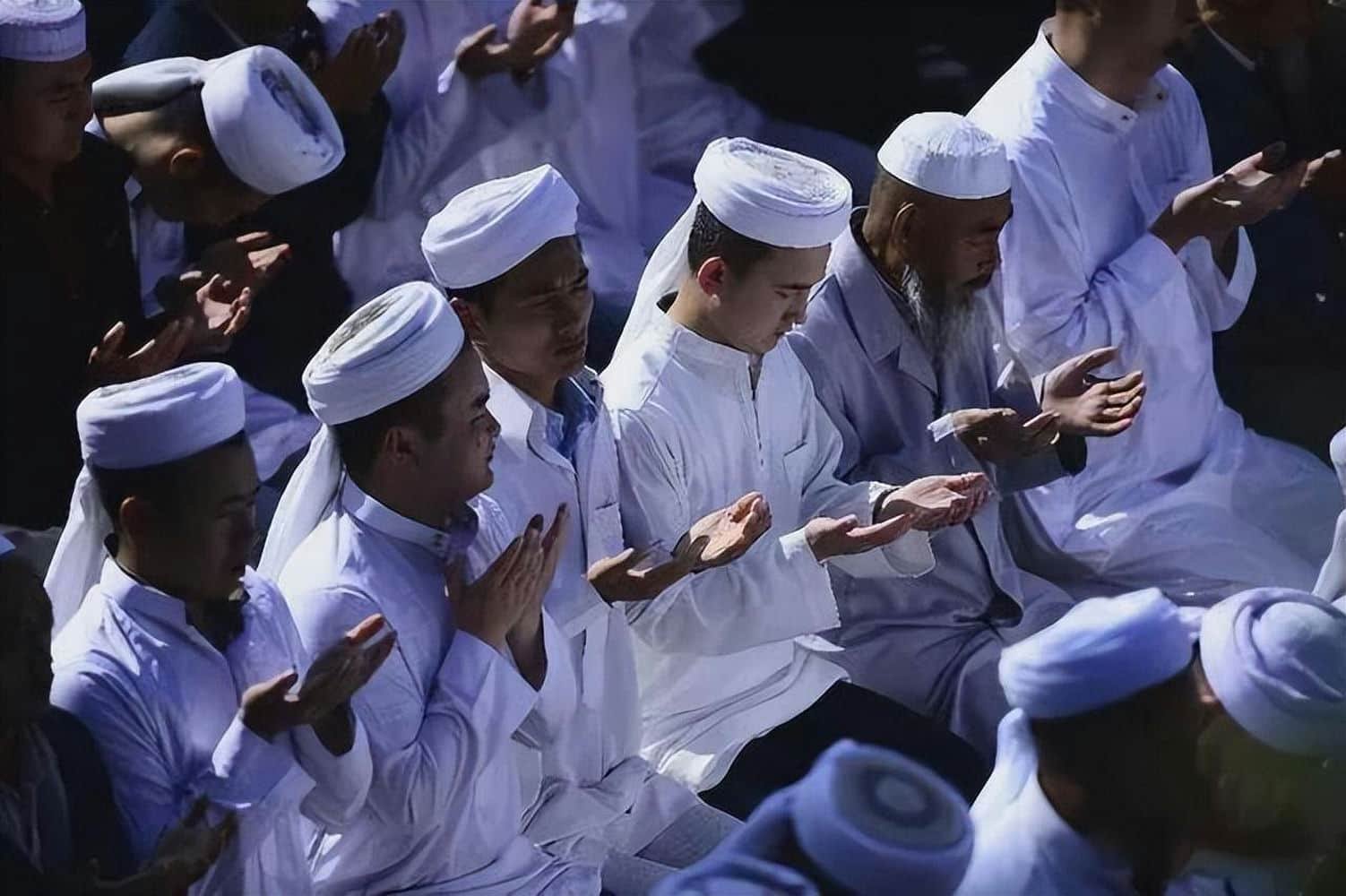 dp islamic religious profile