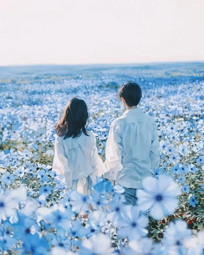 dp love images