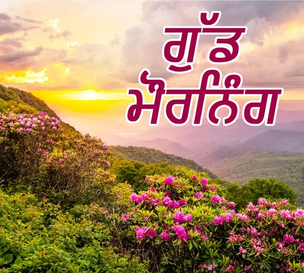 famous good morning images in punjabi