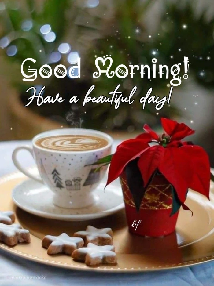 free download gallery of christmas good morning wallpapers