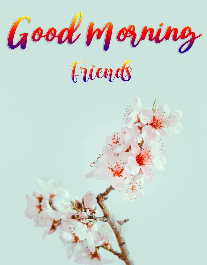 friend good morning images dp with quotes