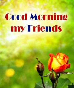 friend good morning s with attitude look