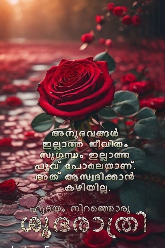 full hd good night images malayalam india hot