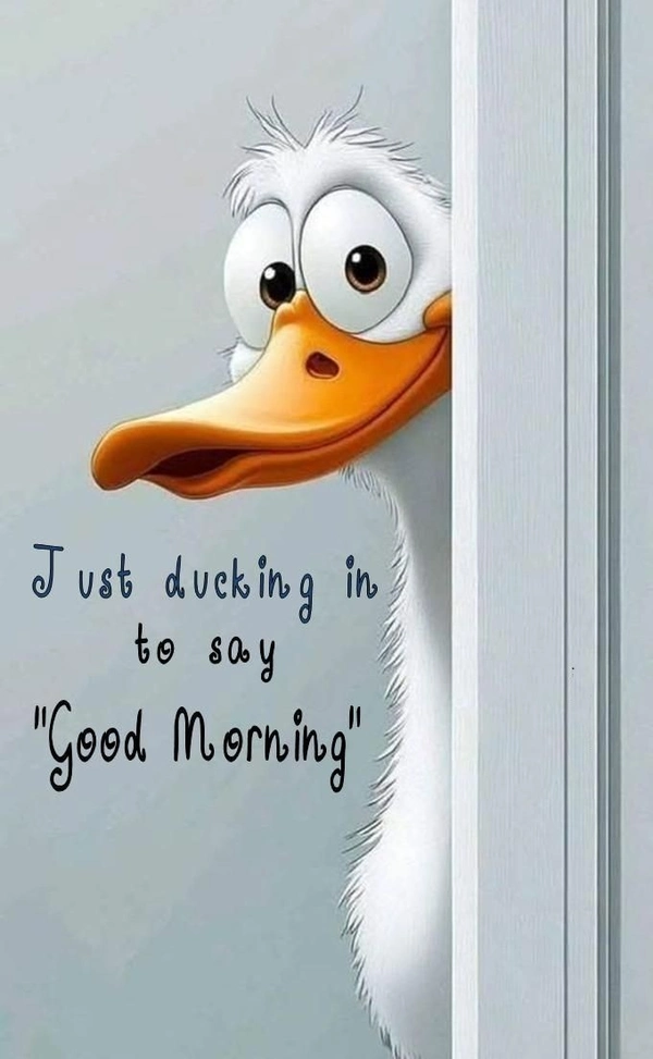 funny good morning images aesthetic style