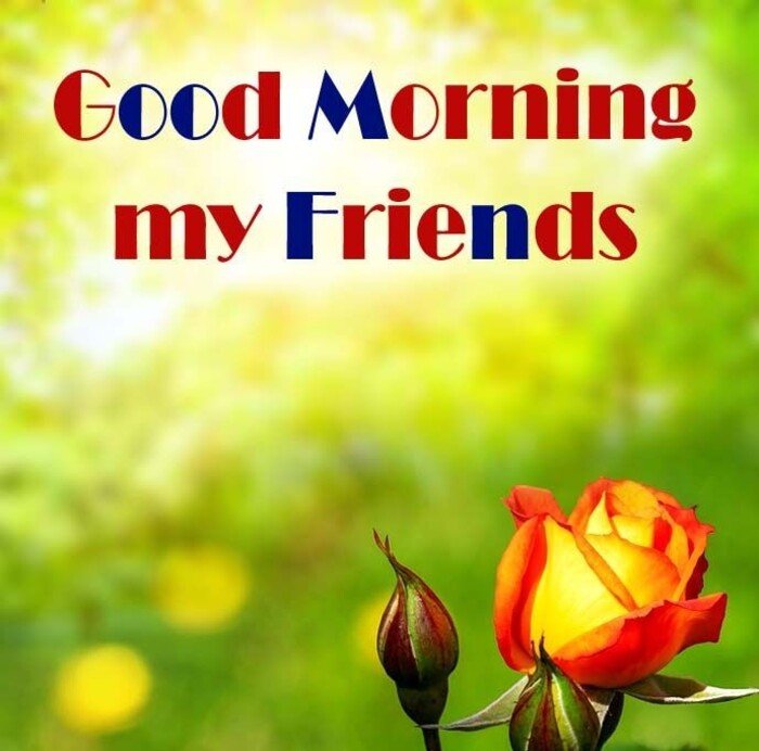 funny good morning images aethetics hot hd