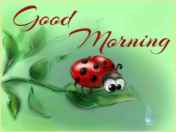 funny good morning images dp with quotes