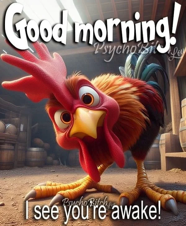 funny good morning images with background blur