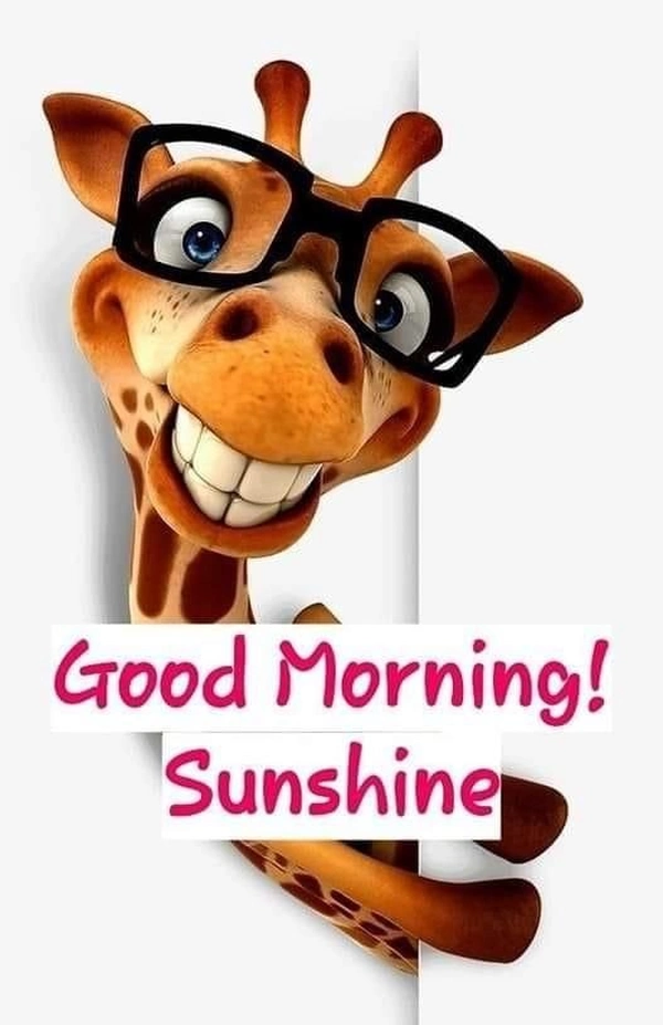 funny good morning images with specs