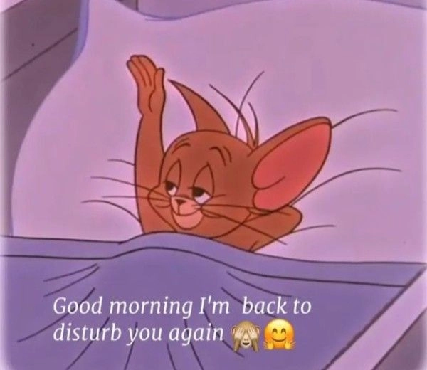 funny good morning s in hoodie dp