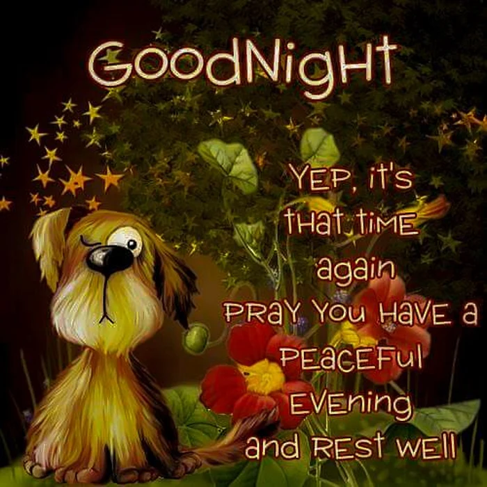 funny good night images dp for sad mood