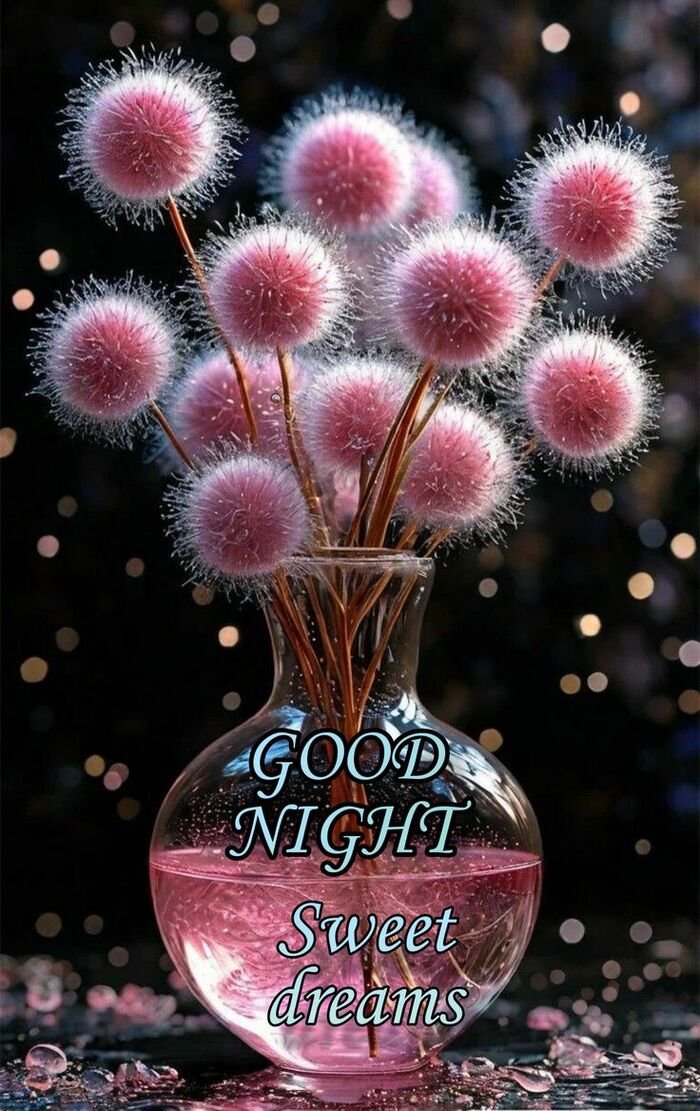 funny good night images hd